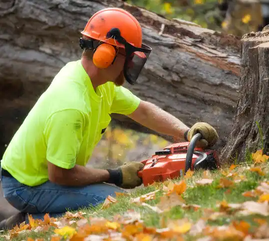 tree services El Rancho